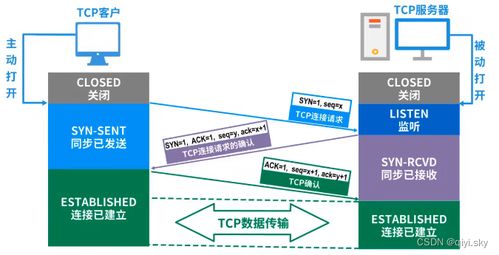 計算機網(wǎng)絡體系結構中的關鍵術語解析